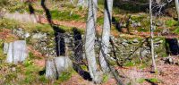 12 die frueheren wege wurden kunstvoll mit trockenmauern gestuetzt - ein boehmweg
